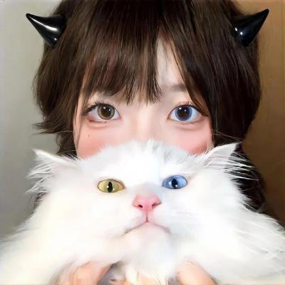 黑钱飞机